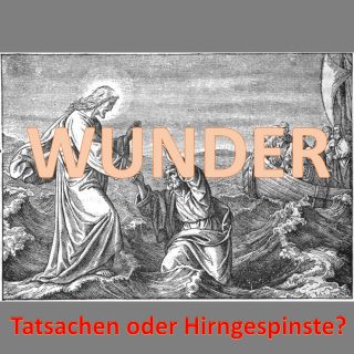 Wunder: Tatsachen oder Hirngespinste?