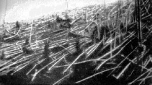 Zerstörter Wald bei Tunguska